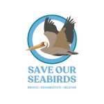 Song of the Sky - logo